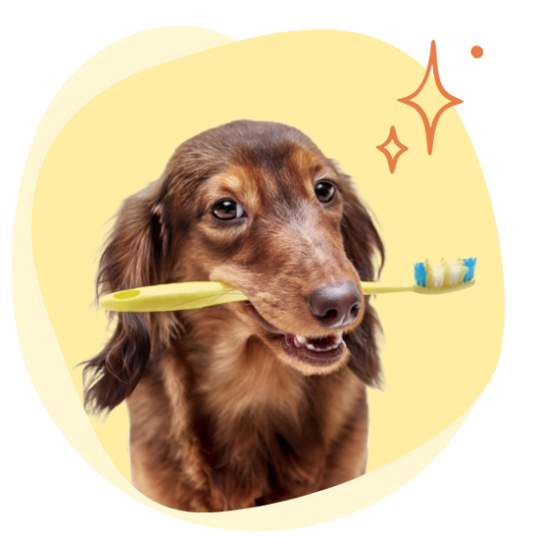 Verzorgende hondensnacks | Voskes